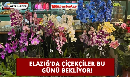 Elazığ’da Çiçekçiler Bu Günü Bekliyor!