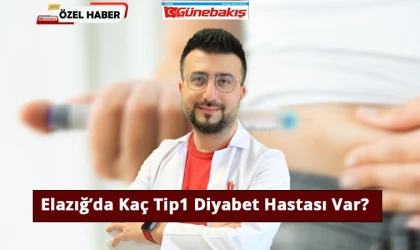 Elazığ’da Kaç Tip1 Diyabet Hastası Var?