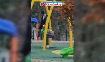 Kimseye Aldırış Etmeden Parktaki Salıncakları Ateşe Verdi