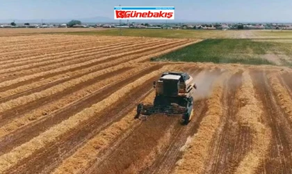 Tarımsal Arazilerin Kiralanması Nasıl Olacak? Bakanlık Açıkladı!