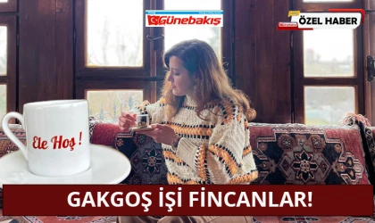 Gakgoş İşi Fincanlar!