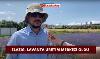 Elazığ, Lavanta Üretim Merkezi Oldu