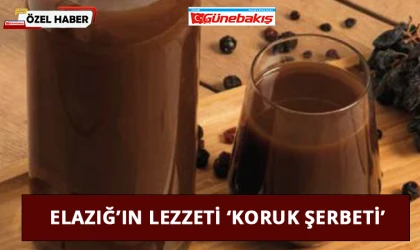 Elazığ’ın Lezzeti ‘Koruk Şerbeti’