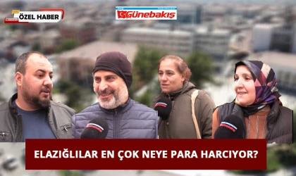 Elazığlılar En Çok Neye Para Harcıyor?