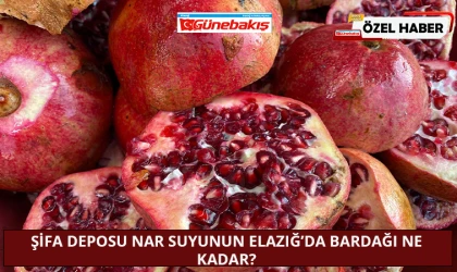 Şifa Deposu Nar Suyunun Elazığ’da Bardağı Ne Kadar?