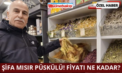 Şifa Mısır Püskülü! Fiyatı Ne Kadar?