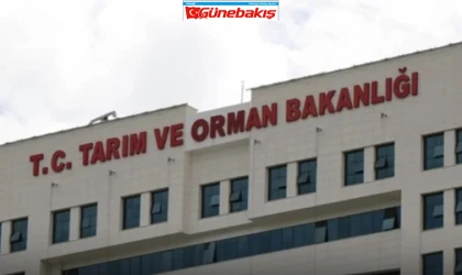 Türkiye Genelinde Avcılığa Yasağı Başlatan Tarih