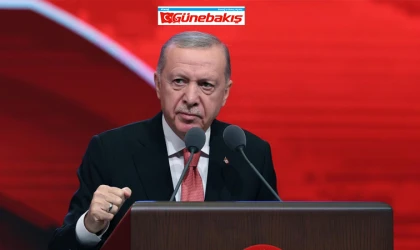 Cumhurbaşkanı Erdoğan: ‘Daha Ne Olacak?’